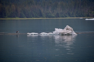 Filename=DSC_4230.jpg
Filesize=9193KiB
Dimensions=7360x4912
Date added=Sep 16, 2019 DSC_4230.jpg