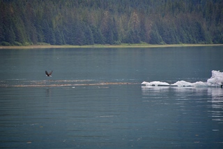 Filename=DSC_4231.jpg
Filesize=12096KiB
Dimensions=7360x4912
Date added=Sep 16, 2019 DSC_4231.jpg