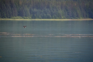 Filename=DSC_4232.jpg
Filesize=15929KiB
Dimensions=7360x4912
Date added=Sep 16, 2019 DSC_4232.jpg