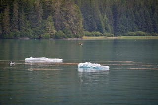 Filename=DSC_4233.jpg
Filesize=17008KiB
Dimensions=7360x4912
Date added=Sep 16, 2019 DSC_4233.jpg