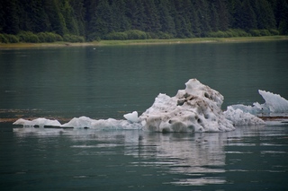 Filename=DSC_4235.jpg
Filesize=10650KiB
Dimensions=7360x4912
Date added=Sep 16, 2019 DSC_4235.jpg