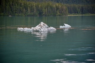 Filename=DSC_4238.jpg
Filesize=9374KiB
Dimensions=7360x4912
Date added=Sep 16, 2019 DSC_4238.jpg