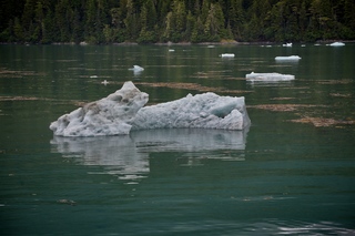 Filename=DSC_4245.jpg
Filesize=10524KiB
Dimensions=7360x4912
Date added=Sep 16, 2019 DSC_4245.jpg