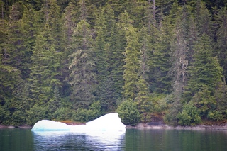 Filename=DSC_4265.jpg
Filesize=24930KiB
Dimensions=7360x4912
Date added=Sep 16, 2019 DSC_4265.jpg