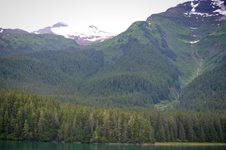 Filename=DSC_4266.jpg
Filesize=14122KiB
Dimensions=7360x4912
Date added=Sep 16, 2019 DSC_4266.jpg