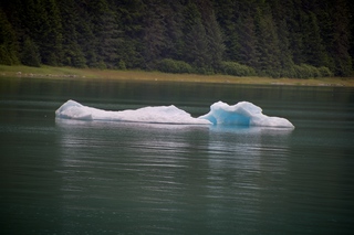 Filename=DSC_4270.jpg
Filesize=10082KiB
Dimensions=7360x4912
Date added=Sep 16, 2019 DSC_4270.jpg