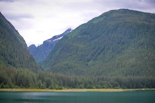 Filename=DSC_4288.jpg
Filesize=10962KiB
Dimensions=7360x4912
Date added=Sep 16, 2019 DSC_4288.jpg