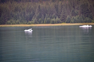 Filename=DSC_4297.jpg
Filesize=16666KiB
Dimensions=7360x4912
Date added=Sep 16, 2019 DSC_4297.jpg