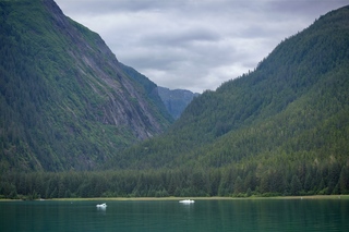 Filename=DSC_4299.jpg
Filesize=11765KiB
Dimensions=7360x4912
Date added=Sep 16, 2019 DSC_4299.jpg