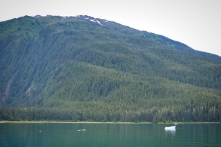 Filename=DSC_4302.jpg
Filesize=13498KiB
Dimensions=7360x4912
Date added=Sep 16, 2019 DSC_4302.jpg