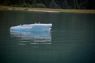 Filename=DSC_4304.jpg
Filesize=6940KiB
Dimensions=7360x4912
Date added=Sep 16, 2019 DSC_4304.jpg