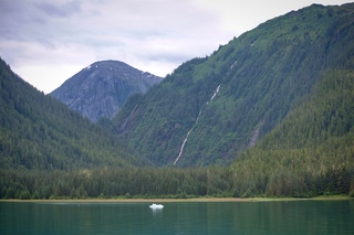 Filename=DSC_4312.jpg
Filesize=10792KiB
Dimensions=7360x4912
Date added=Sep 16, 2019 DSC_4312.jpg