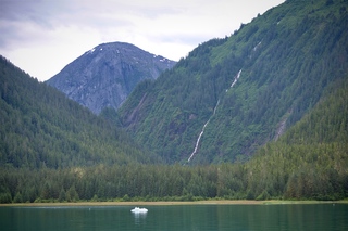 Filename=DSC_4313.jpg
Filesize=10113KiB
Dimensions=7360x4912
Date added=Sep 16, 2019 DSC_4313.jpg