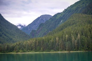 Filename=DSC_4316.jpg
Filesize=10746KiB
Dimensions=7360x4912
Date added=Sep 16, 2019 DSC_4316.jpg