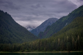 Filename=DSC_4317.jpg
Filesize=10086KiB
Dimensions=7360x4912
Date added=Sep 16, 2019 DSC_4317.jpg