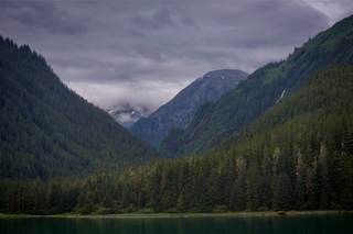 Filename=DSC_4318.jpg
Filesize=9655KiB
Dimensions=7360x4912
Date added=Sep 16, 2019 DSC_4318.jpg