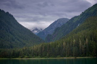 Filename=DSC_4319.jpg
Filesize=11218KiB
Dimensions=7360x4912
Date added=Sep 16, 2019 DSC_4319.jpg