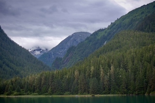 Filename=DSC_4320.jpg
Filesize=10452KiB
Dimensions=7360x4912
Date added=Sep 16, 2019 DSC_4320.jpg