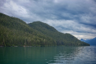 Filename=DSC_4321.jpg
Filesize=10337KiB
Dimensions=7360x4912
Date added=Sep 16, 2019 DSC_4321.jpg