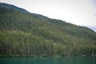 Filename=DSC_4322.jpg
Filesize=14368KiB
Dimensions=7360x4912
Date added=Sep 16, 2019 DSC_4322.jpg