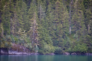 Filename=DSC_4323.jpg
Filesize=25983KiB
Dimensions=7360x4912
Date added=Sep 16, 2019 DSC_4323.jpg