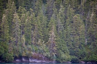 Filename=DSC_4324.jpg
Filesize=25856KiB
Dimensions=7360x4912
Date added=Sep 16, 2019 DSC_4324.jpg