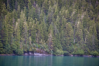 Filename=DSC_4325.jpg
Filesize=23330KiB
Dimensions=7360x4912
Date added=Sep 16, 2019 DSC_4325.jpg