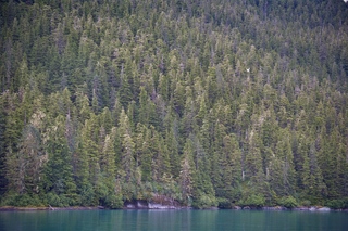 Filename=DSC_4326.jpg
Filesize=19514KiB
Dimensions=7360x4912
Date added=Sep 16, 2019 DSC_4326.jpg