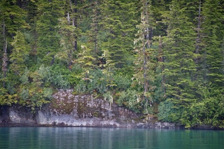 Filename=DSC_4327.jpg
Filesize=26008KiB
Dimensions=7360x4912
Date added=Sep 16, 2019 DSC_4327.jpg