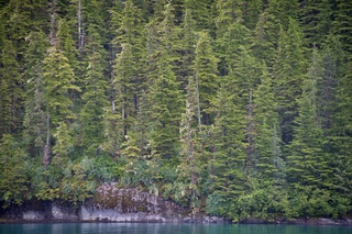 Filename=DSC_4328.jpg
Filesize=25164KiB
Dimensions=7360x4912
Date added=Sep 16, 2019 DSC_4328.jpg