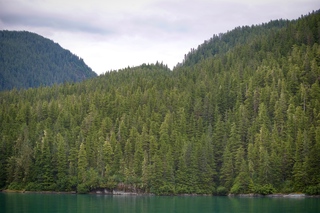 Filename=DSC_4329.jpg
Filesize=12594KiB
Dimensions=7360x4912
Date added=Sep 16, 2019 DSC_4329.jpg