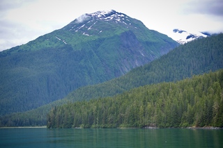 Filename=DSC_4331.jpg
Filesize=12133KiB
Dimensions=7360x4912
Date added=Sep 16, 2019 DSC_4331.jpg