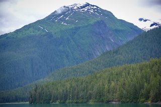 Filename=DSC_4332.jpg
Filesize=10629KiB
Dimensions=7360x4912
Date added=Sep 16, 2019 DSC_4332.jpg