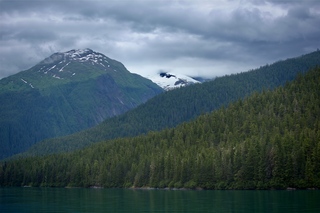 Filename=DSC_4336.jpg
Filesize=9341KiB
Dimensions=7360x4912
Date added=Sep 16, 2019 DSC_4336.jpg