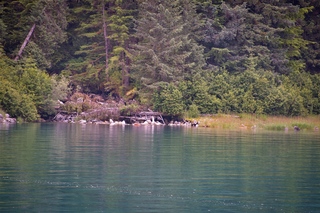 Filename=DSC_4338.jpg
Filesize=26024KiB
Dimensions=7360x4912
Date added=Sep 16, 2019 DSC_4338.jpg