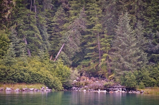 Filename=DSC_4339.jpg
Filesize=28037KiB
Dimensions=7360x4912
Date added=Sep 16, 2019 DSC_4339.jpg