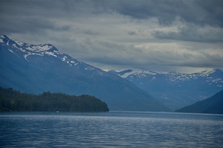 Filename=DSC_4345.jpg
Filesize=7719KiB
Dimensions=7360x4912
Date added=Sep 16, 2019 DSC_4345.jpg