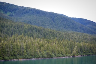 Filename=DSC_4350.jpg
Filesize=16787KiB
Dimensions=7360x4912
Date added=Sep 16, 2019 DSC_4350.jpg