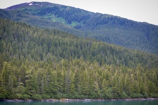 Filename=DSC_4351.jpg
Filesize=18401KiB
Dimensions=7360x4912
Date added=Sep 16, 2019 DSC_4351.jpg