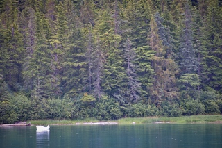 Filename=DSC_4353.jpg
Filesize=27548KiB
Dimensions=7360x4912
Date added=Sep 16, 2019 DSC_4353.jpg