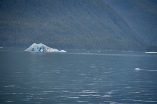 Filename=DSC_4360.jpg
Filesize=11562KiB
Dimensions=7360x4912
Date added=Sep 16, 2019 DSC_4360.jpg