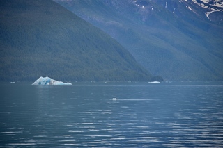 Filename=DSC_4361.jpg
Filesize=8320KiB
Dimensions=7360x4912
Date added=Sep 16, 2019 DSC_4361.jpg