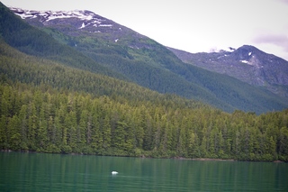 Filename=DSC_4367.jpg
Filesize=11100KiB
Dimensions=7360x4912
Date added=Sep 16, 2019 DSC_4367.jpg