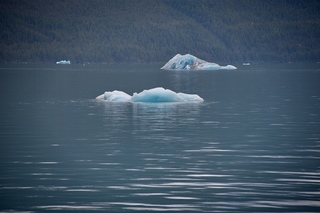 Filename=DSC_4368.jpg
Filesize=7692KiB
Dimensions=7360x4912
Date added=Sep 16, 2019 DSC_4368.jpg