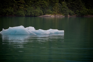 Filename=DSC_4374.jpg
Filesize=10060KiB
Dimensions=7360x4912
Date added=Sep 16, 2019 DSC_4374.jpg