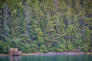 Filename=DSC_4379.jpg
Filesize=26871KiB
Dimensions=7360x4912
Date added=Sep 16, 2019 DSC_4379.jpg