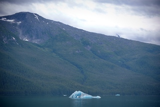 Filename=DSC_4382.jpg
Filesize=7689KiB
Dimensions=7360x4912
Date added=Sep 16, 2019 DSC_4382.jpg