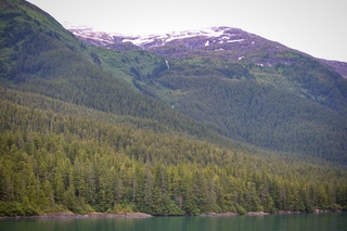 Filename=DSC_4386.jpg
Filesize=12043KiB
Dimensions=7360x4912
Date added=Sep 16, 2019 DSC_4386.jpg