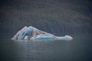 Filename=DSC_4389.jpg
Filesize=13524KiB
Dimensions=7360x4912
Date added=Sep 16, 2019 DSC_4389.jpg