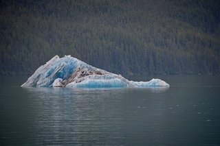 Filename=DSC_4390.jpg
Filesize=13908KiB
Dimensions=7360x4912
Date added=Sep 16, 2019 DSC_4390.jpg